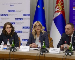 Министарка Поповић на конференцији „Жене, мир и безбедност“