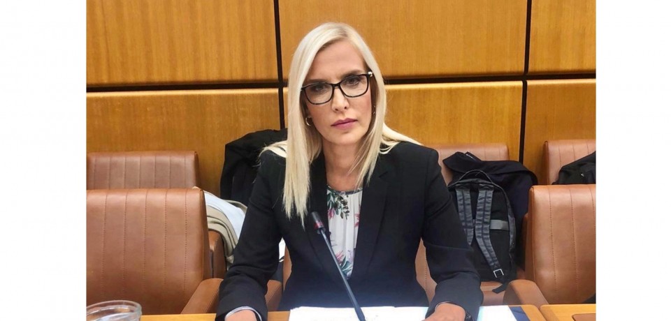 Министарка Поповић у Бечу представила Нацрт резолуције о заштити узбуњивача
